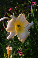 DSC_4938.webp