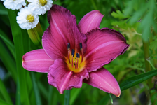 DSC_4964.webp