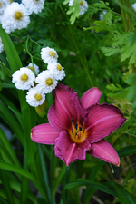 DSC_4965.webp