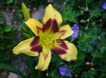 DSC_4967.jpg