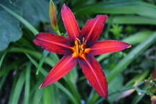DSC_4968.webp