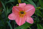 DSC_4969.JPG