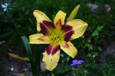 DSC_4973.webp