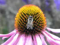 DSCN9491.webp