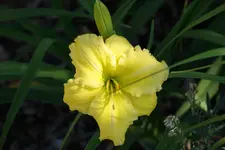 Beauty to Behold.webp
