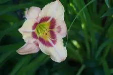 Streakter.webp