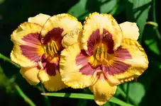 7A400.webp