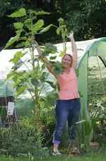 garten 106.webp