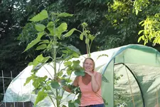 garten 107.webp