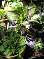 051_576x768.webp