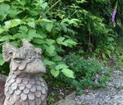 Storchis aus der Pfalz.webp