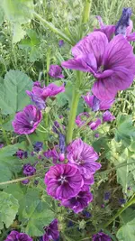 Foto1.webp