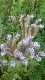 Foto3.webp