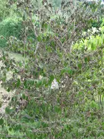 013.webp