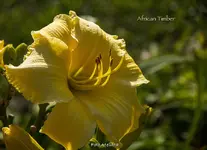IMG_2458.webp