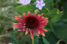 DSC03406.webp
