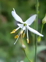 DSCN9543.webp