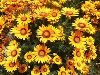 Bilda001.webp