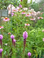 DSCN9548.webp
