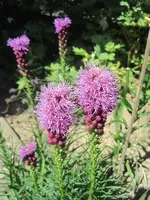 002.webp