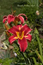 IMG_2566.webp