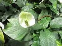 Bilda070.webp