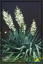 comp_DSC04256.webp