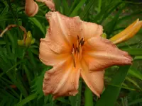 DSCI3644.webp