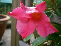 P7190780.webp