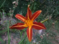 DSCF3925.webp