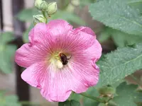 DSCF3939.webp