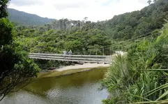 Copy of _Bruecken (4)v.webp