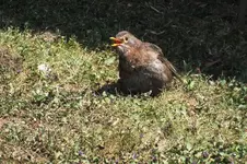 DSCF2290.webp
