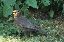 DSCF2293.webp