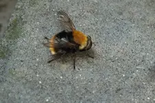 DSCF2309.webp