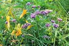 DSCF2280 (2).webp