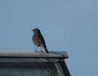 DSCF2269 (2).webp
