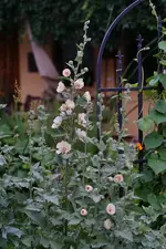 Stockr. Parkallee (Kopie).webp