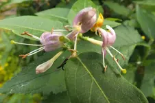 DSCF2175.webp