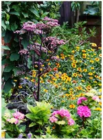 Blumenbeet im Garten (Kopie).webp