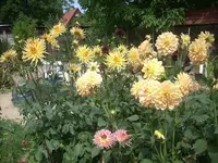 Bild1.webp