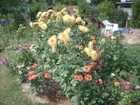 Bild4.webp