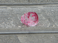 P1470161.webp