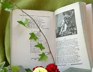 Copy of alte Buecher (1)v.webp