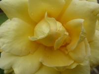 P1470308.webp