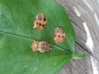 20150719_182434.jpg