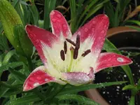 010_1024x768.webp