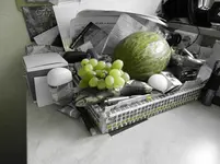 P1010041.webp