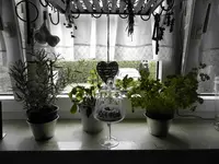 P1010042.webp
