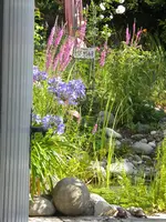 DSCN9582.webp